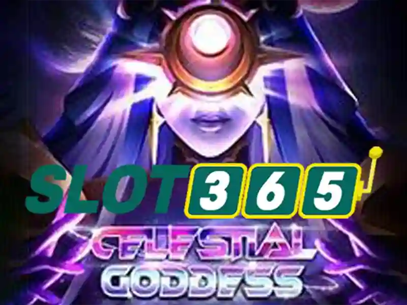 Slot365: Tổng quan về nền tảng chơi máy đánh bạc trực tuyến