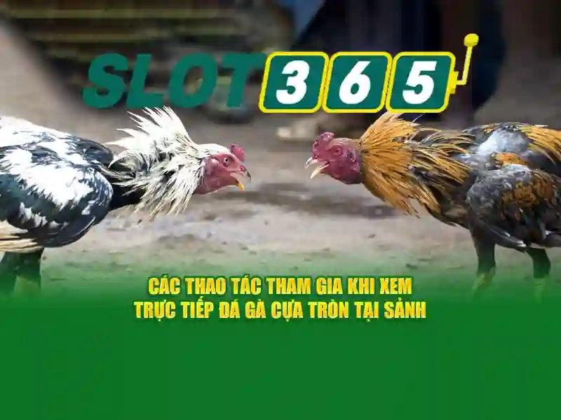 <!--IMG_PLACEHOLDER alt>Lợi thế và sức cạnh tranh của Slot365-->