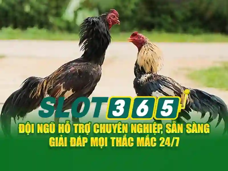casino Slot365 - Trãi nghiệm Casino Slot365 Đỉnh Cao và An Toàn
