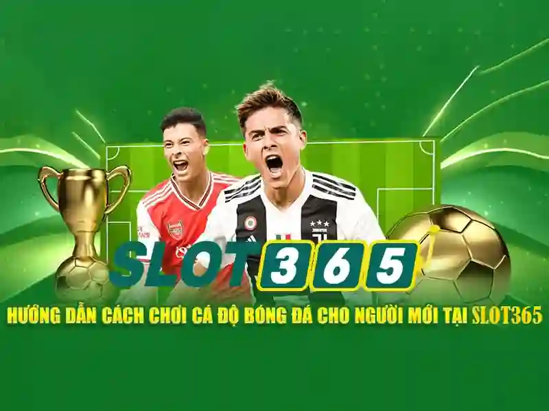 Slot365 - Đánh giá nền tảng chơi slot trực tuyến uy tín