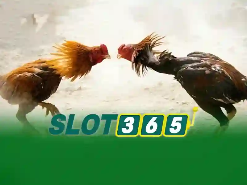 An toàn và phục vụ khách hàng