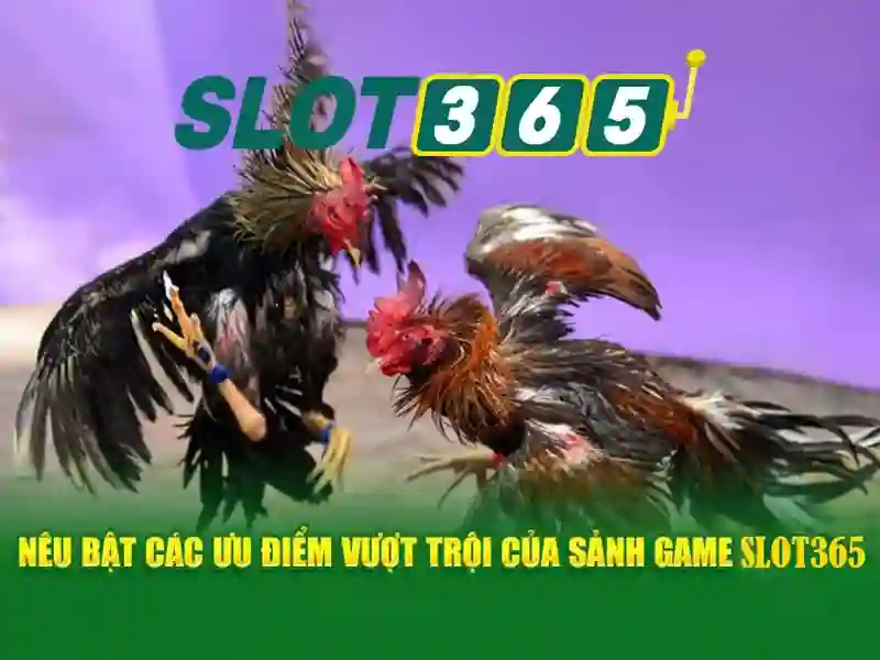 cac-loai-hinh-da-ga-cua-sat-cua-dao