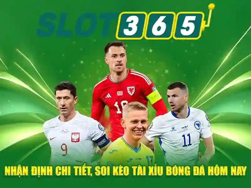 Sản phẩm và dịch vụ cốt lõi: ứng dụng thực tế Slot365 an toàn không