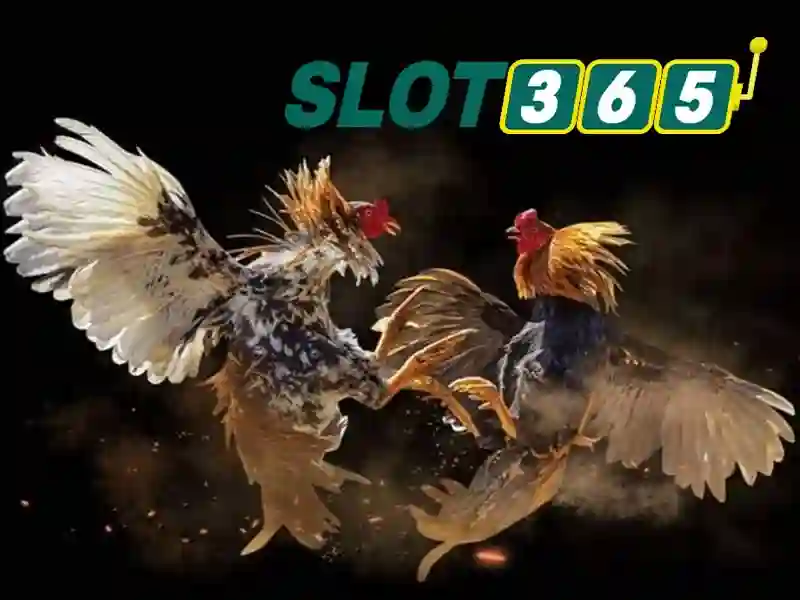 Slot365 – Nền tảng chơi slot trực tuyến hiện đại