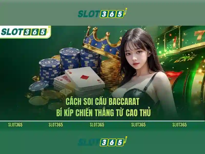 Slot365 là gì? Nền tảng slot trực tuyến hàng đầu