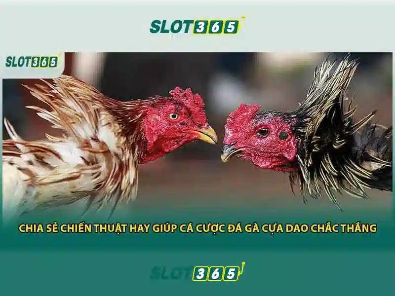Giao diện người dùng trực quan và an toàn<p><span style=