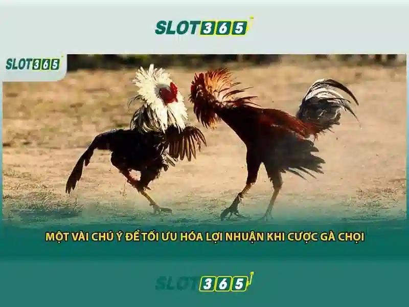 Slot365: Khám phá nền tảng chơi slot trực tuyến hàng đầu