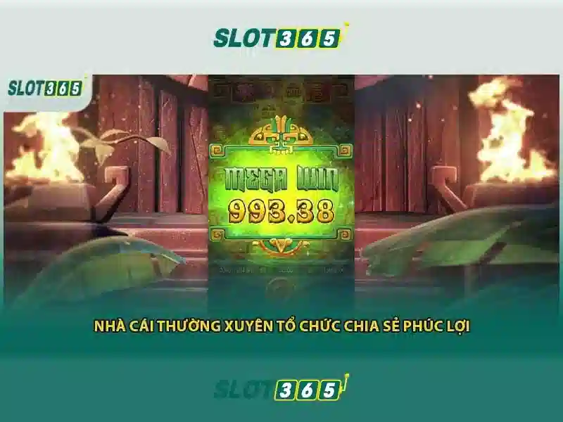 Trải nghiệm người dùng và giao diện