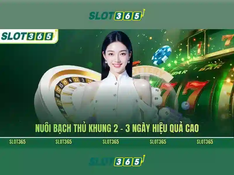 Slot365 - Trò chơi slot trực tuyến đẳng cấp và an toàn