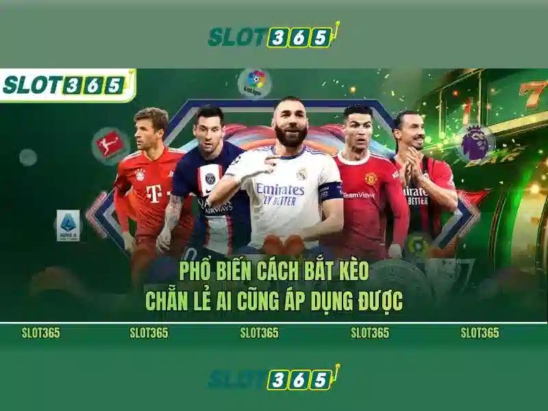 Giới thiệu về Slot365