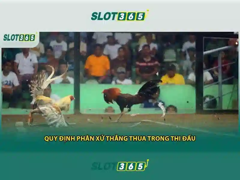 Slot365: Nền tảng slot trực tuyến đáng tin cậy tại Việt Nam