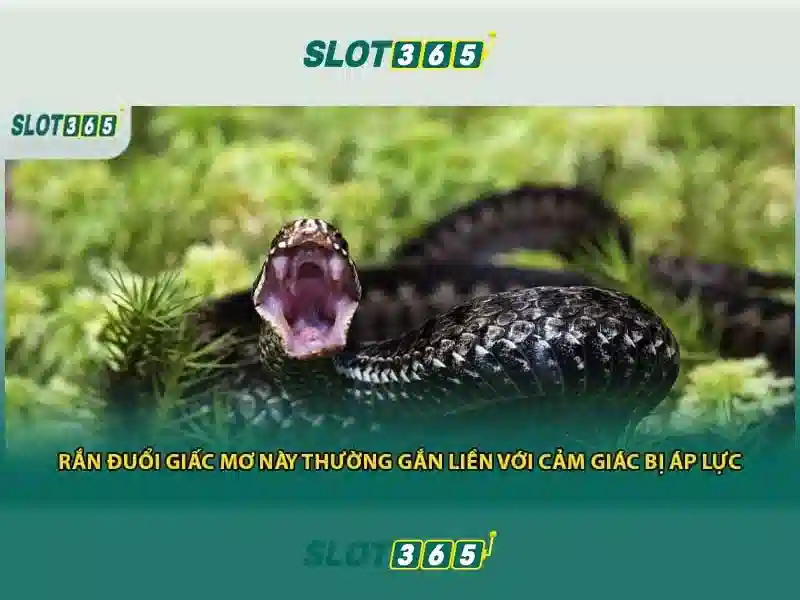 Slot365 – Nền tảng casino trực tuyến hàng đầu cho trò chơi slot