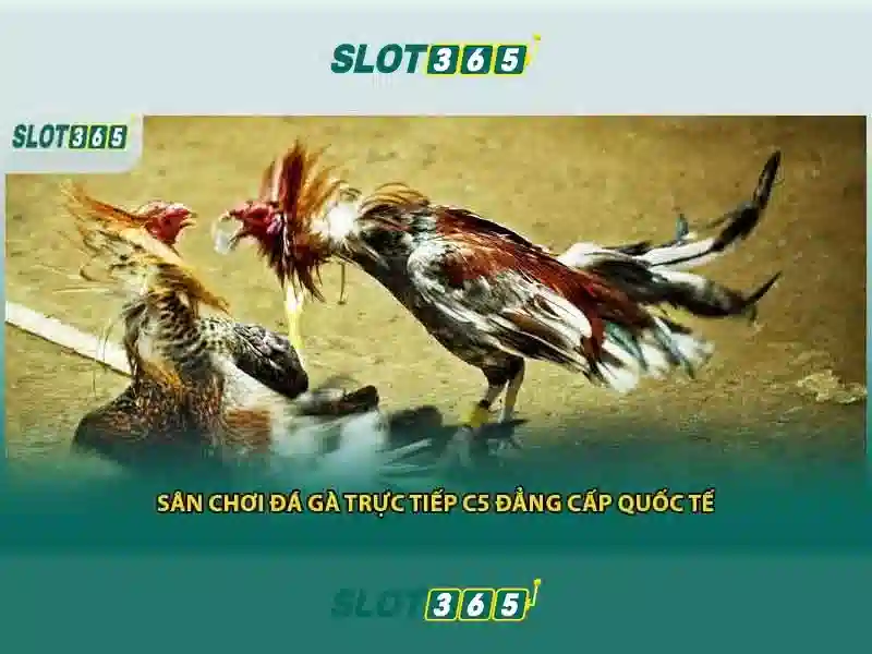 Khuyến mãi và đăng ký
