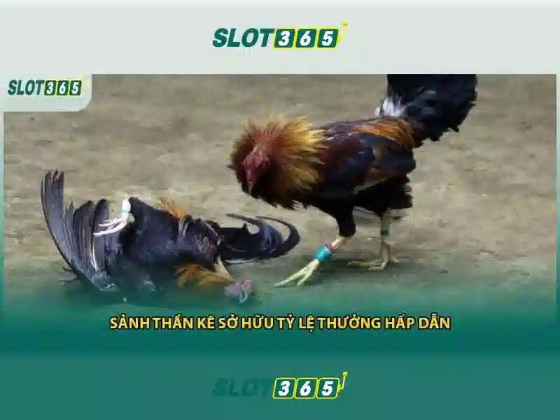 An toàn và bảo mật