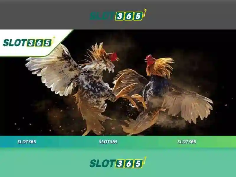 slot365 rtp – Trải nghiệm và đánh giá toàn diện