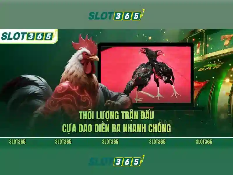 Slot365: Trải nghiệm casino trực tuyến đáng tin cậy và thú vị