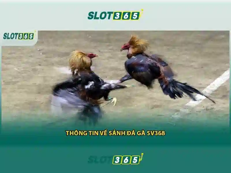 Slot365: Đánh giá nền tảng casino trực tuyến