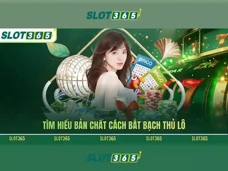Slot365 là gì? Nền tảng slot trực tuyến hàng đầu
