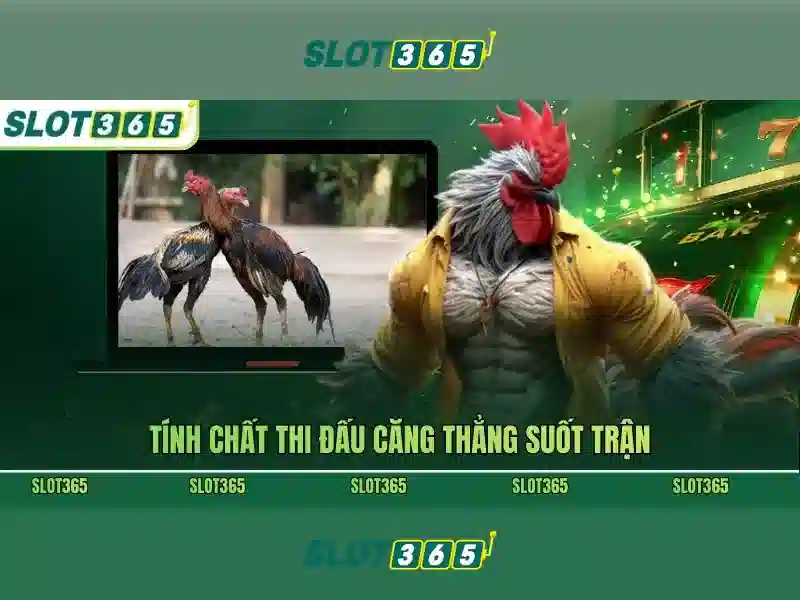 An toàn và bảo mật