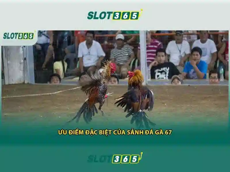 app slot365 – Trải nghiệm casino di động đỉnh cao