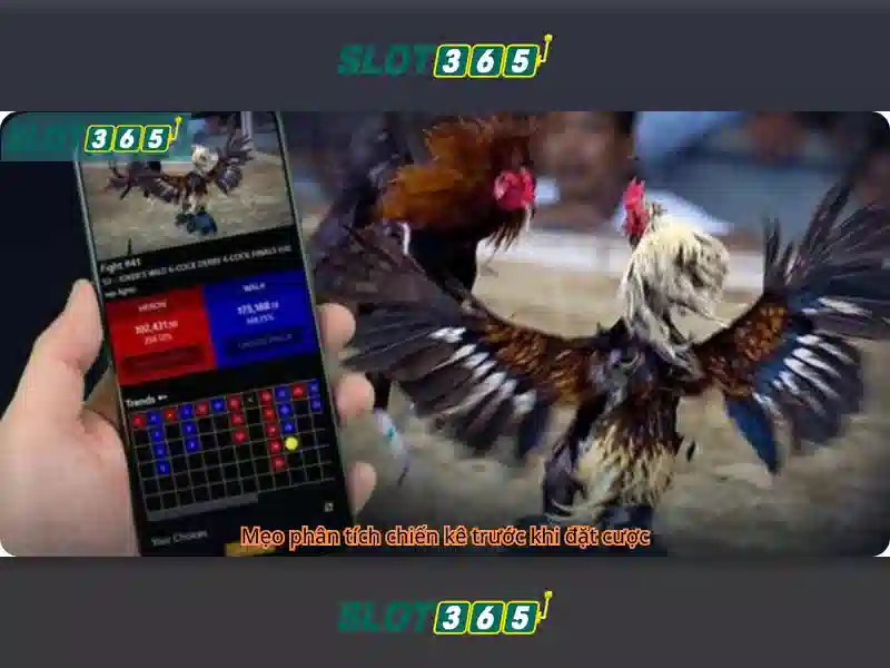 Slot365 là gì