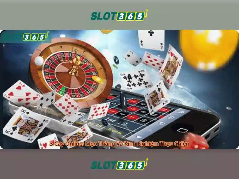 Slot365 - Tổng quan về nền tảng trò chơi trực tuyến