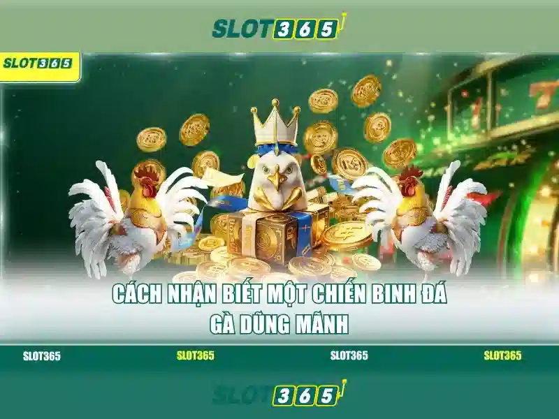 Slot365: Đánh giá và hướng dẫn chơi an toàn