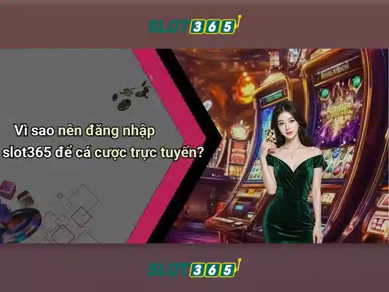 Slot365 – Tổng quan về nền tảng cá cược trực tuyến