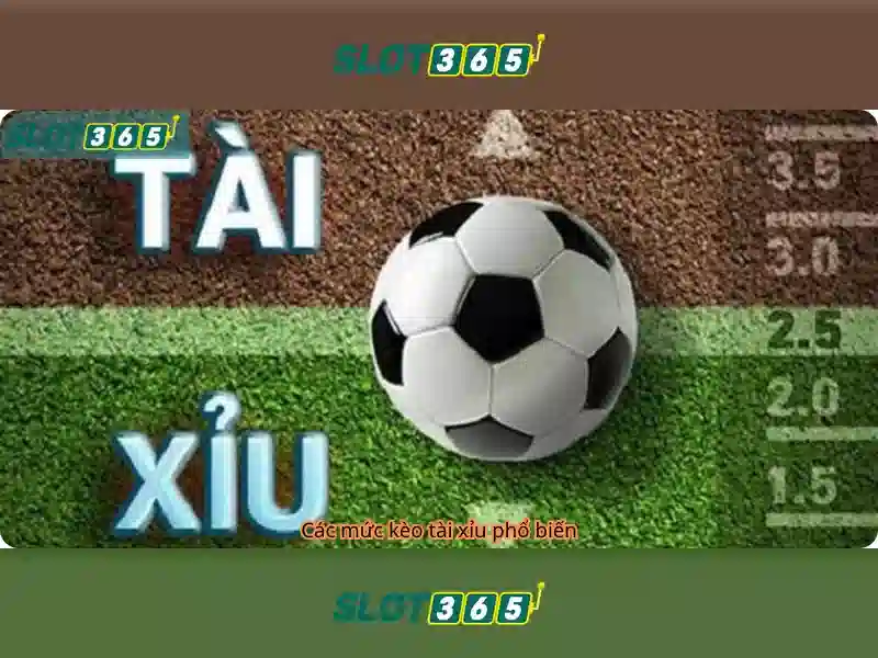 slot365 vip – Trải nghiệm đỉnh cao cùng hệ sinh thái slot365
