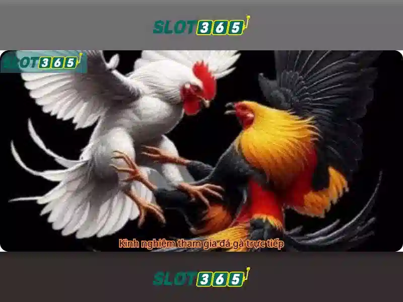 Slot365: Khám phá nền tảng slot trực tuyến và trò chơi giải trí
