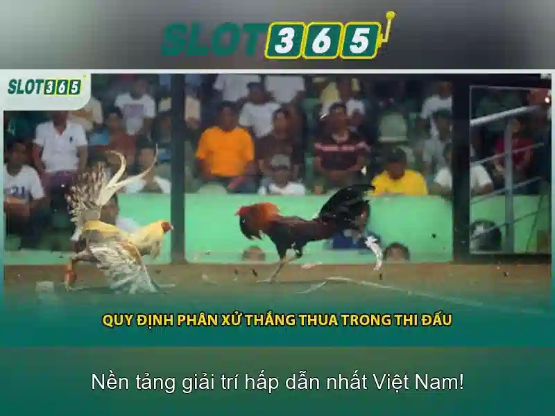 Đặc điểm nổi bật của Slot365