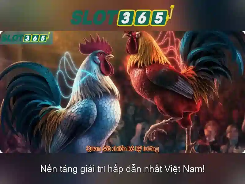 Khuyến mãi, thanh toán và bảo mật