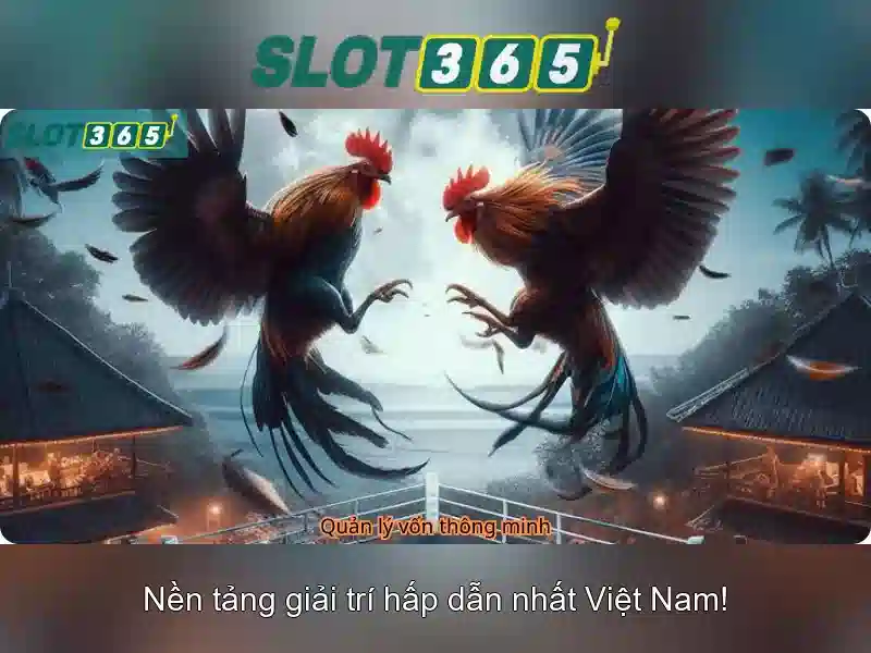 slot365 games - Trải nghiệm giải trí đỉnh cao và an toàn