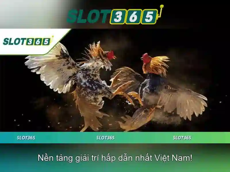 link dự phòng Slot365 – Giải pháp an toàn và tối ưu