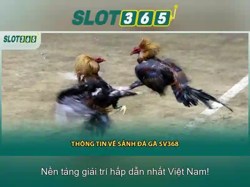 Ưu điểm nổi bật\n<h>Hướng dẫn tham gia</h>\n<p><span style=