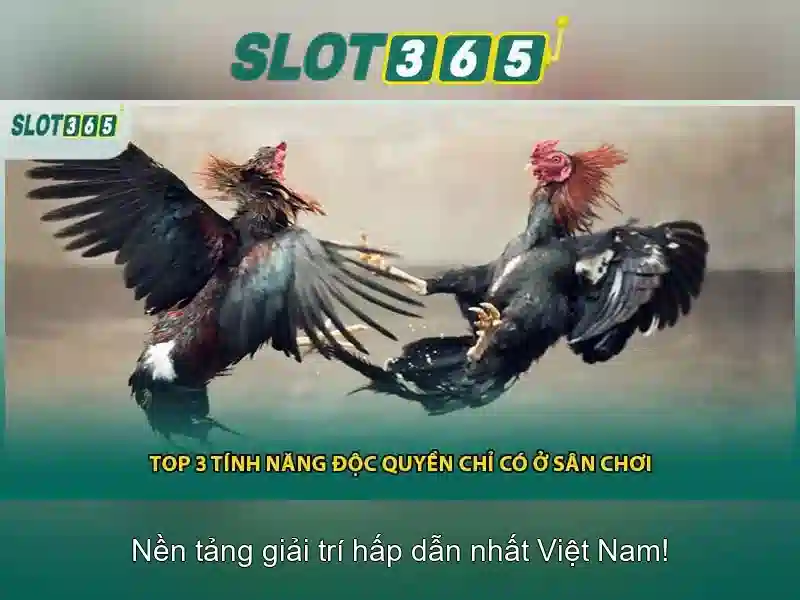 An toàn và thanh toán