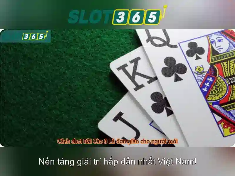 Slot365 - Nền tảng chơi slot trực tuyến an toàn và thú vị