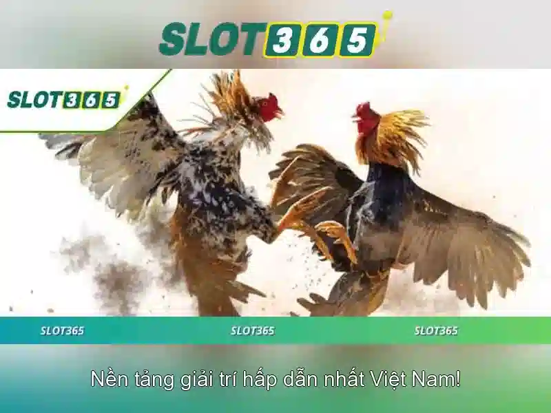 Slot365: Nền tảng slot trực tuyến an toàn và giải trí