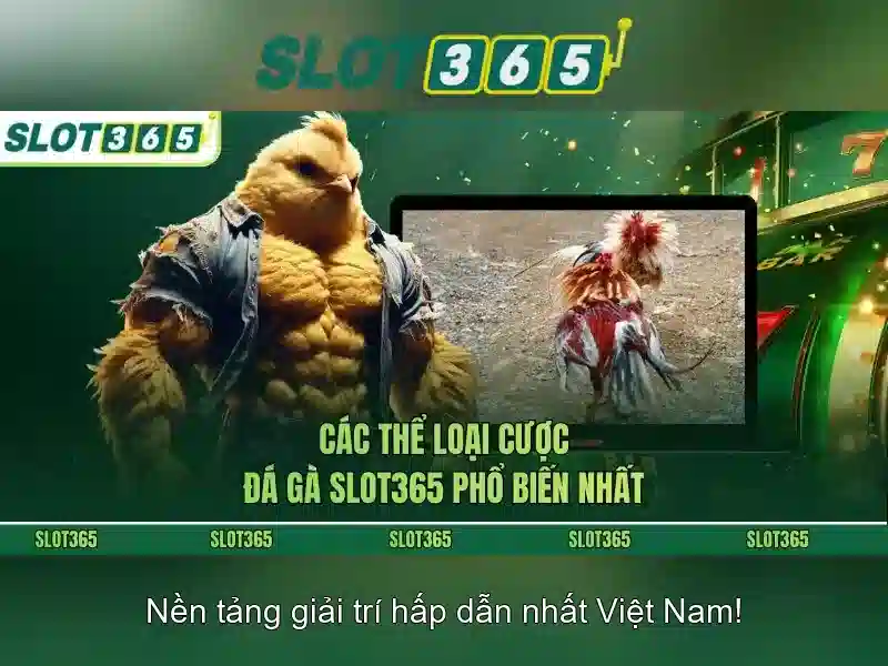 tải app slot365 – Trải nghiệm vượt trội cùng Slot365