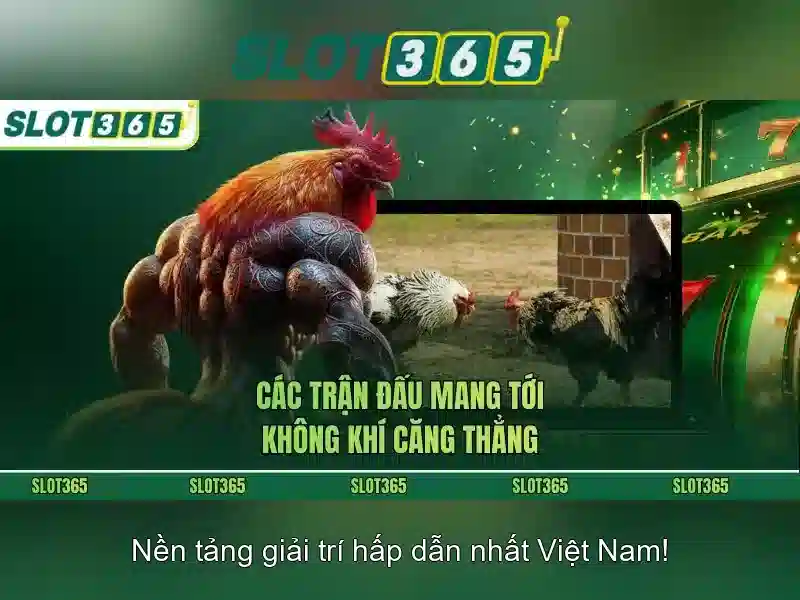 Slot365 – Sân chơi slots hàng đầu