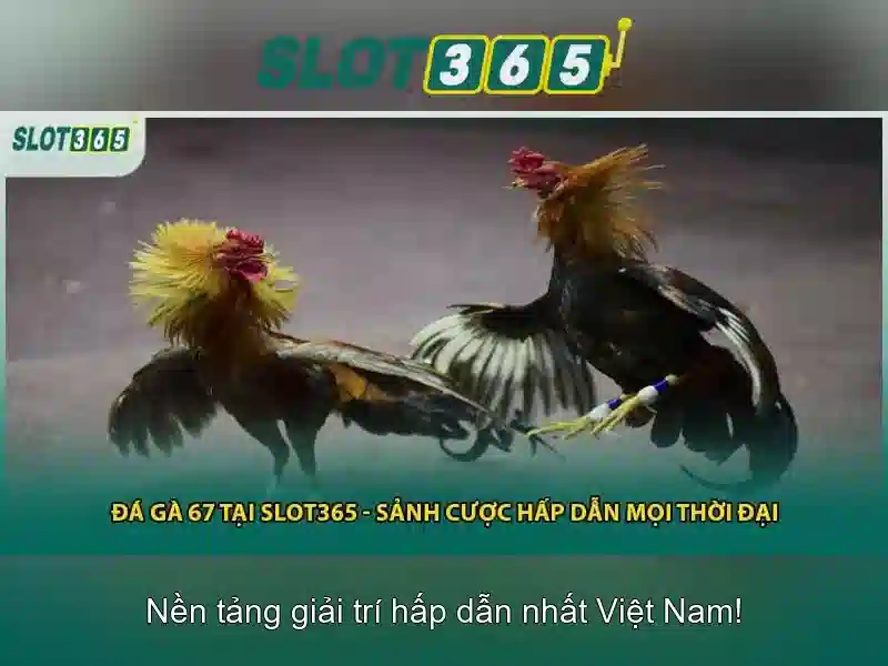Slot365: Nền tảng slot online hàng đầu