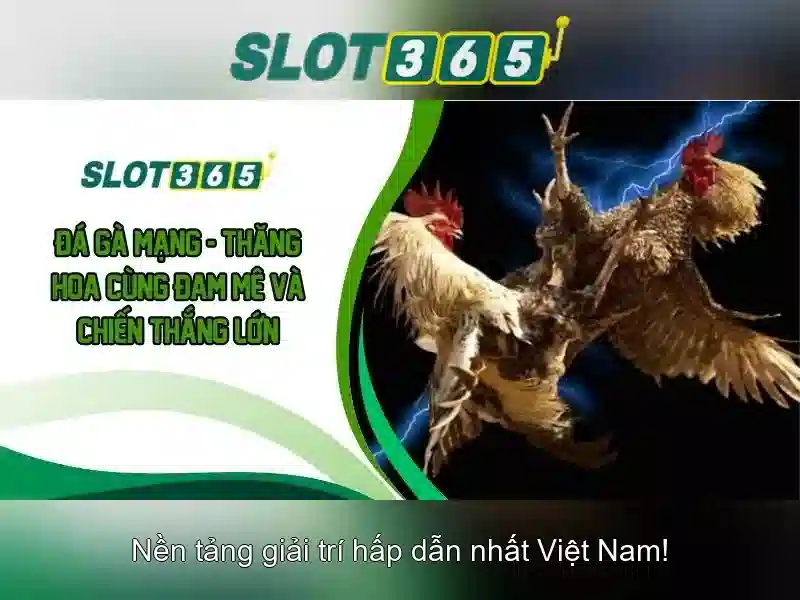 Slot365: Tổng quan về nền tảng chơi slot trực tuyến hàng đầu