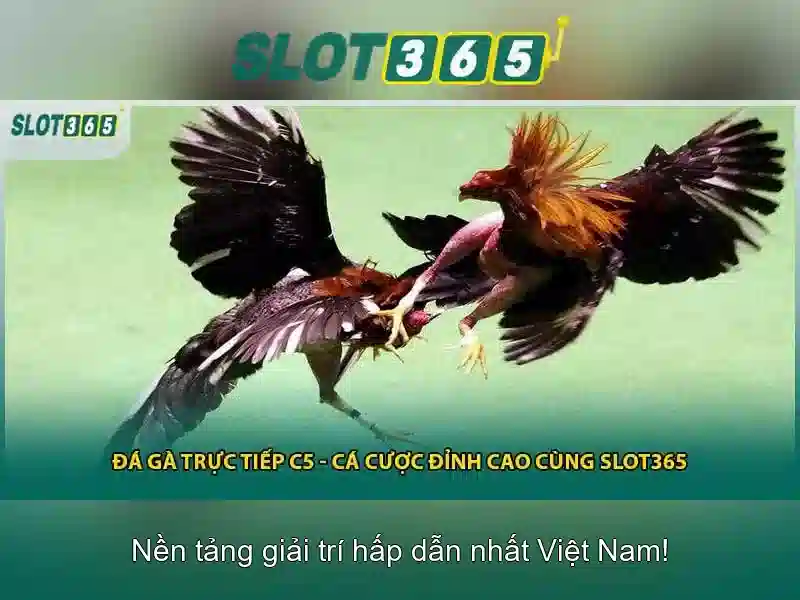 Giao diện và trải nghiệm người dùng\n<h3><b>Nền tảng an toàn và thanh toán</b></h3>\n<p><span style=