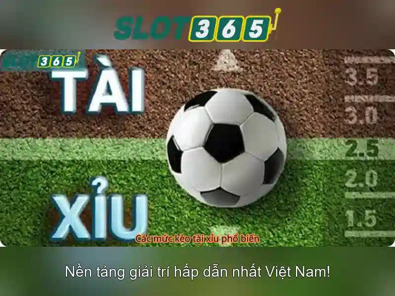 Slot365: Nền tảng chơi xèng trực tuyến nổi bật