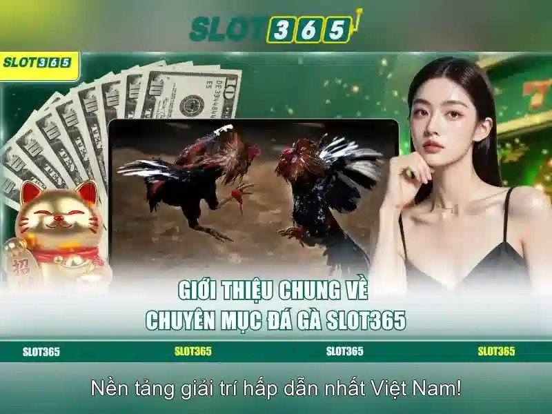 Slot365 - Khám phá nền tảng máy xèng trực tuyến nổi bật