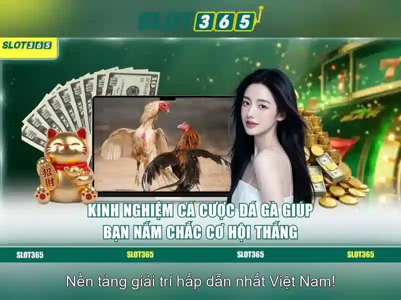 Giới thiệu về Slot365