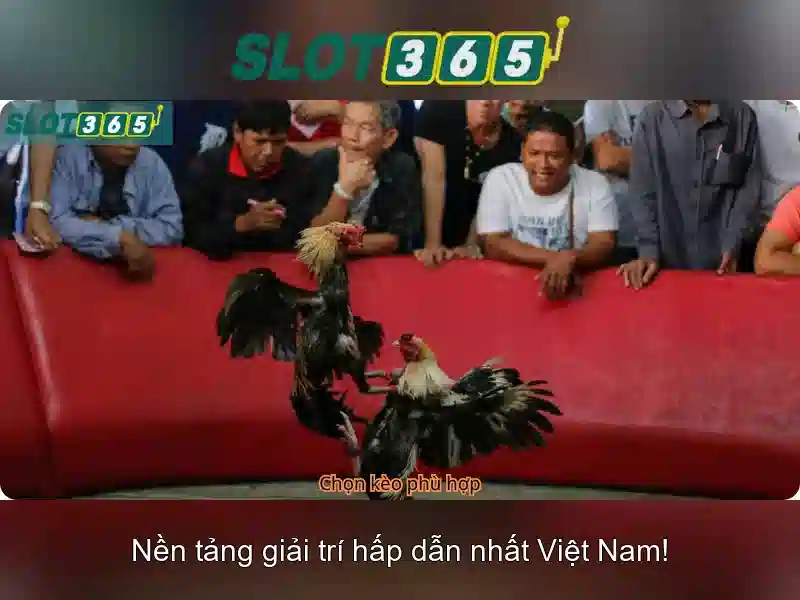 hướng dẫn Slot365: từ slot365 net đến Slot365 app