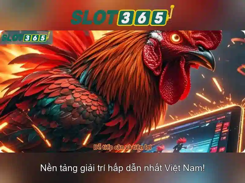 Slot365 là gì và tại sao nó được yêu thích