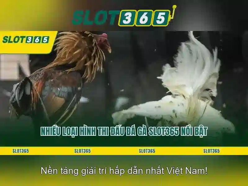 Slot365 - Trải nghiệm casino trực tuyến an toàn và tiện lợi