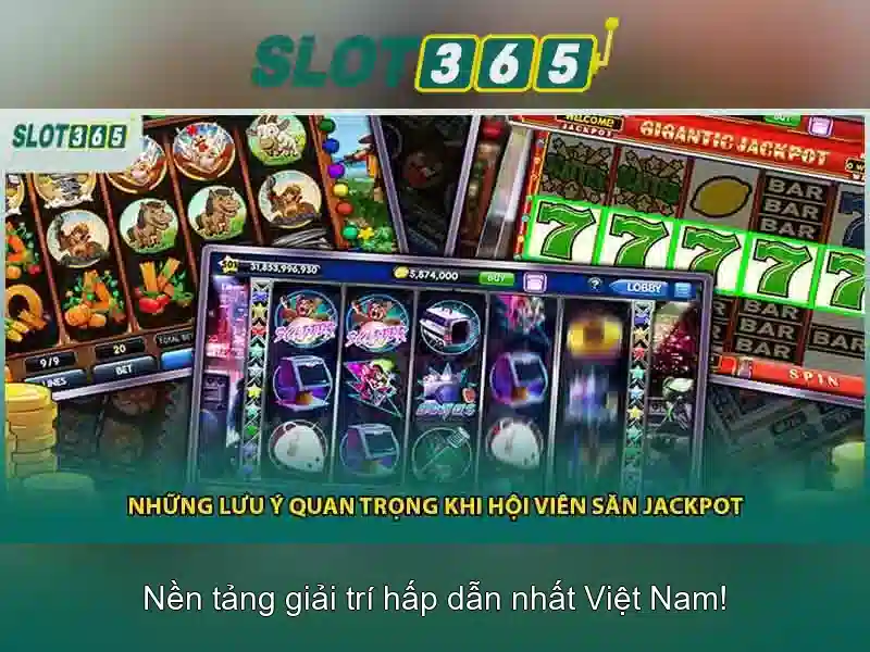Tổng quan về Slot365